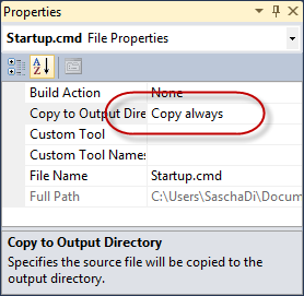 Dateieigenschaften - Copy to Output Directory