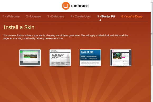 Umbraco Installation - Auswahl Skin